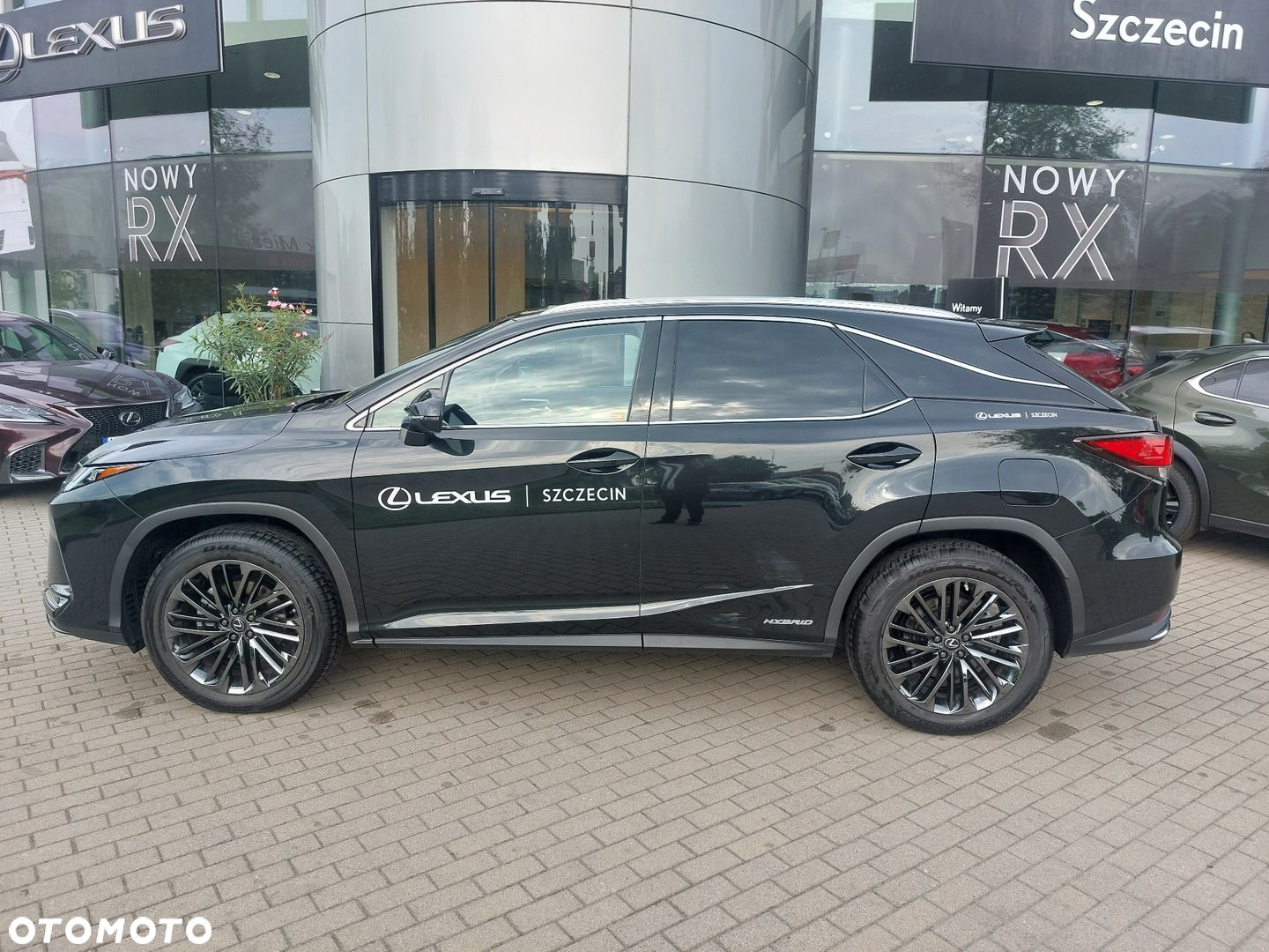 Lexus RX 450h F-Impression - 2