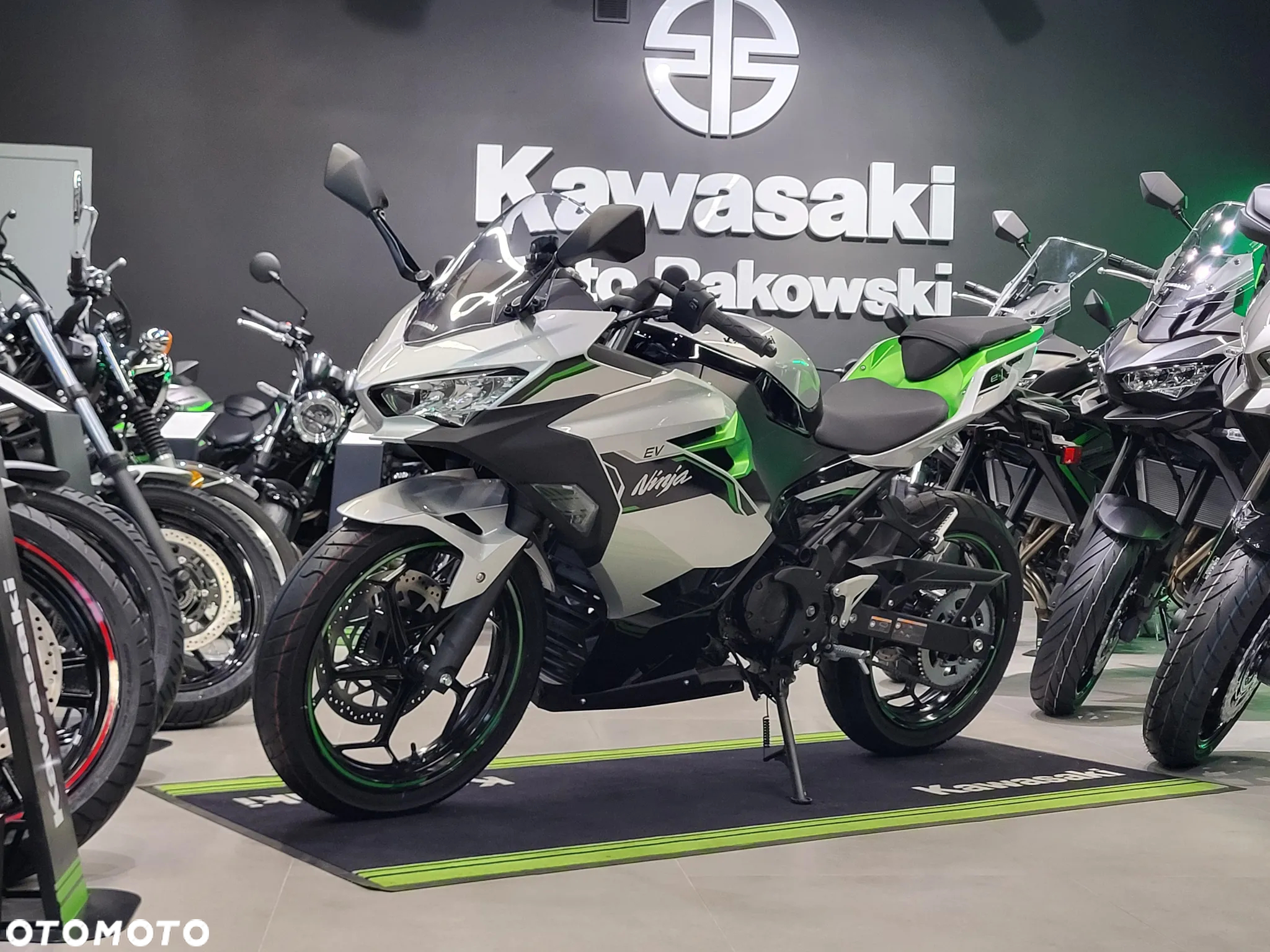 Kawasaki Ninja - 10