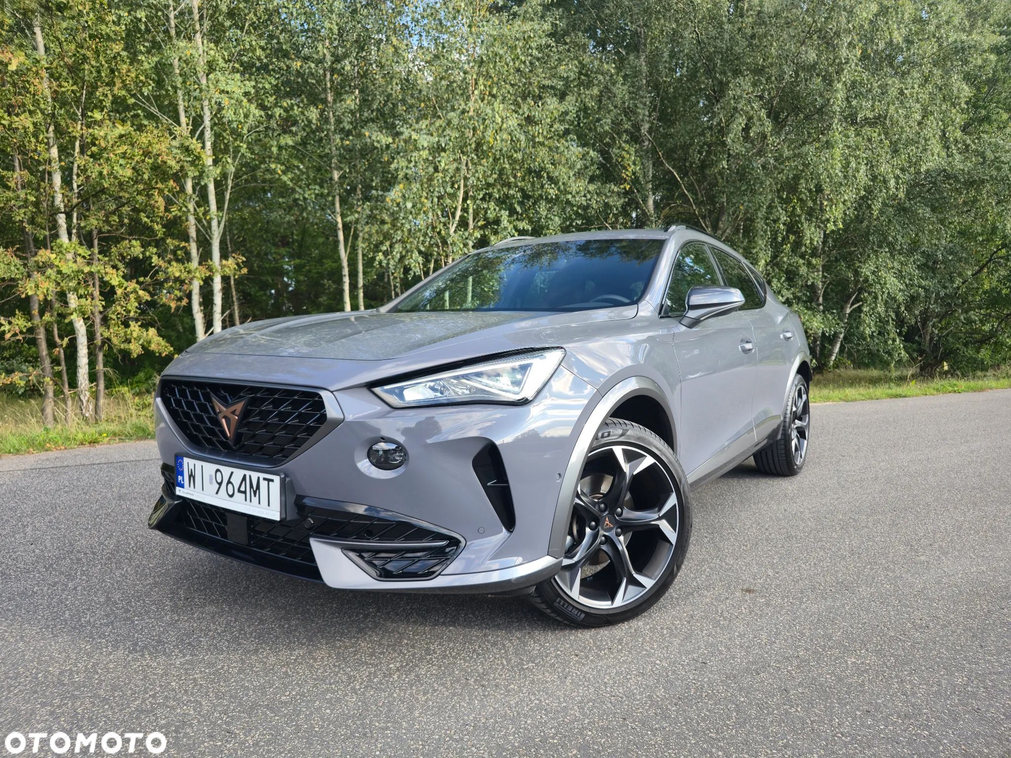 Cupra Formentor 1.5 TSI DSG - 1