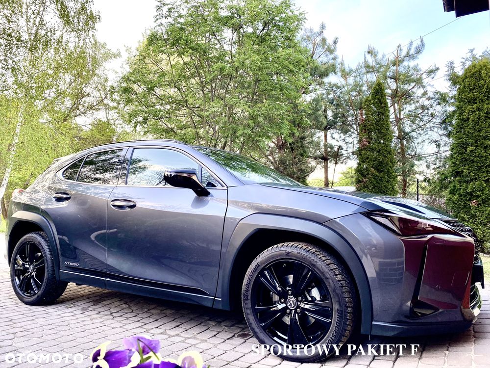 Lexus UX 250h GPF F Impression 2WD - 8