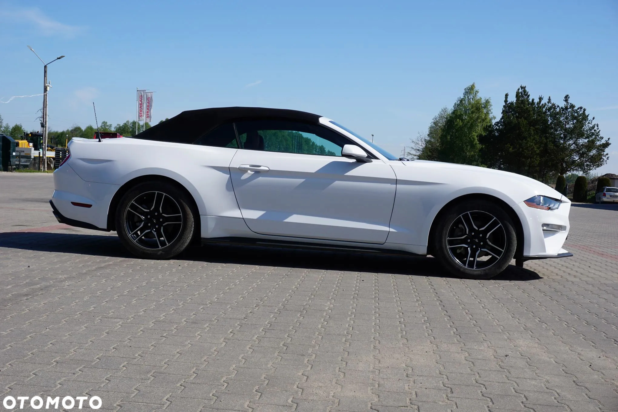 Ford Mustang Cabrio 2.3 Eco Boost - 4