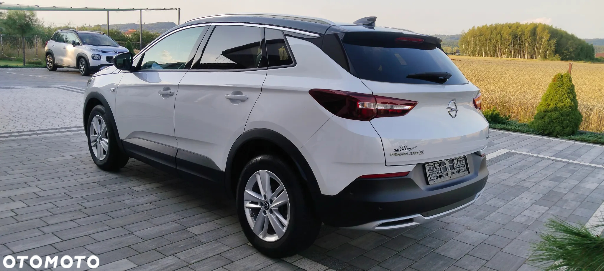 Opel Grandland X 1.6 T Ultimate S&S - 20