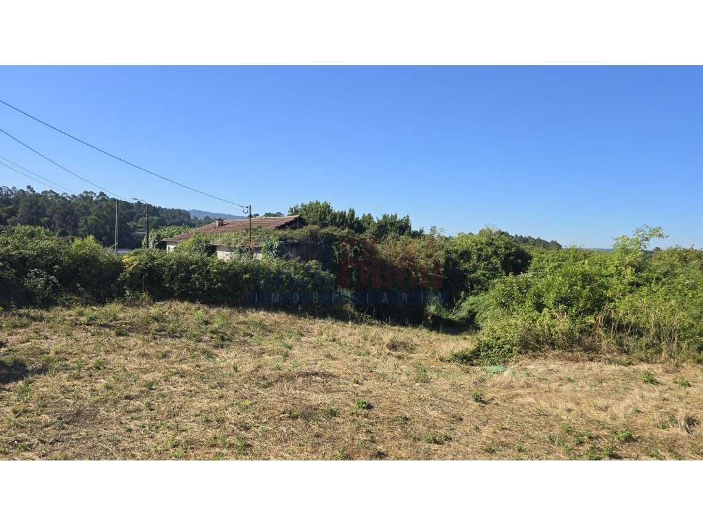 Lote de Terreno para Construção com estudo de Projeto para 24 Apart... - Grande imagem: 5/20