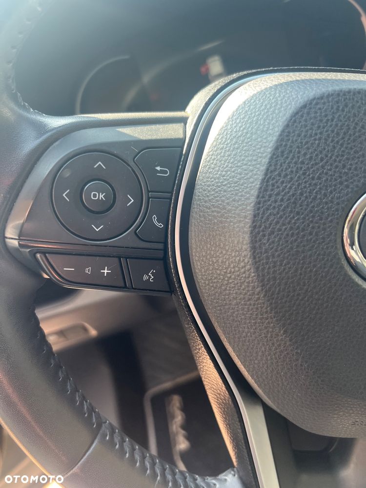 Toyota RAV4 2.5 Hybrid Active 4x2 - 19