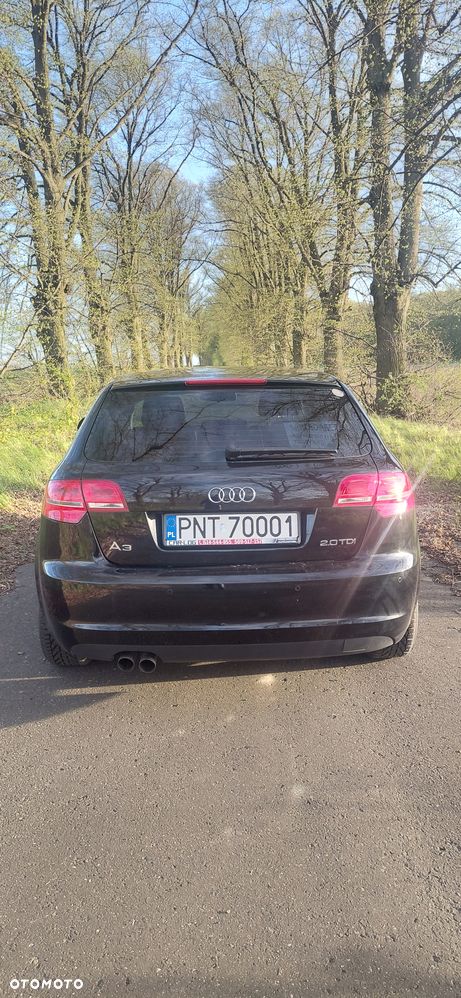 Audi A3 Sportback 2.0 TDI DPF Attraction - 18