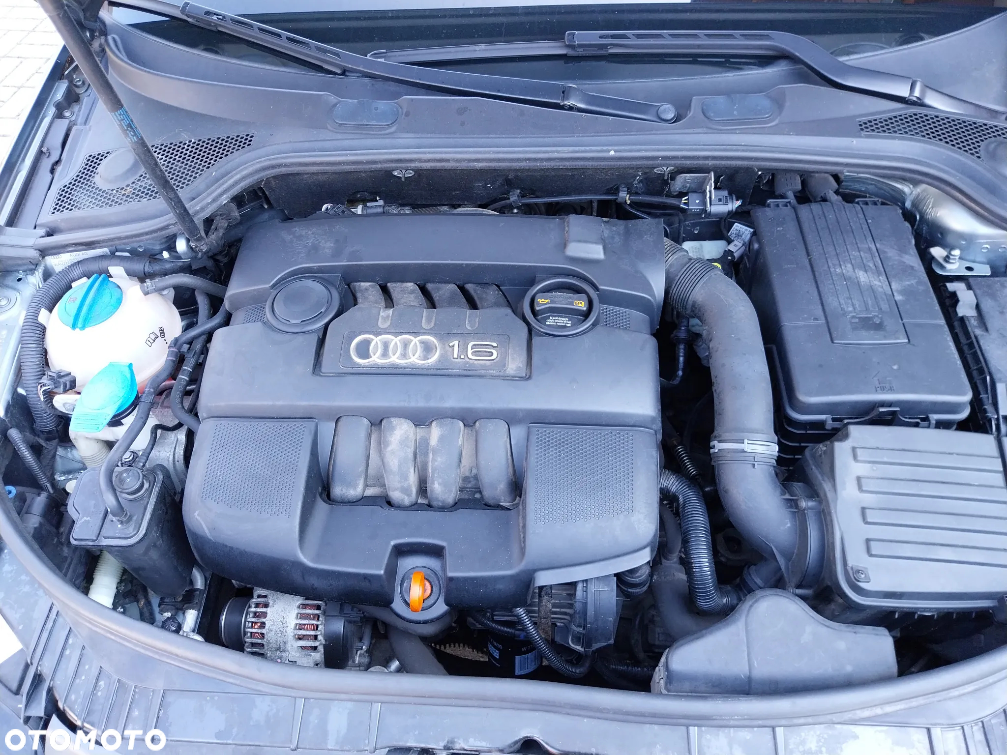 Audi A3 1.6 Sportback Attraction - 9