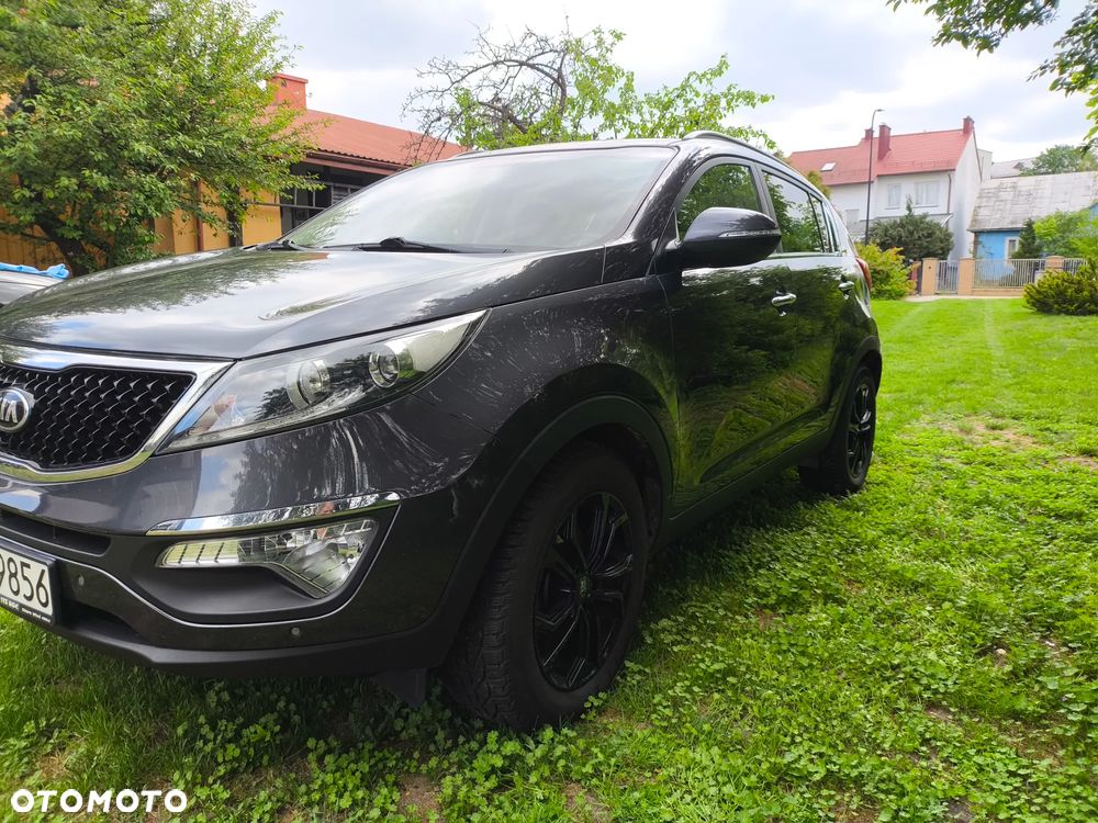 Kia Sportage - 36