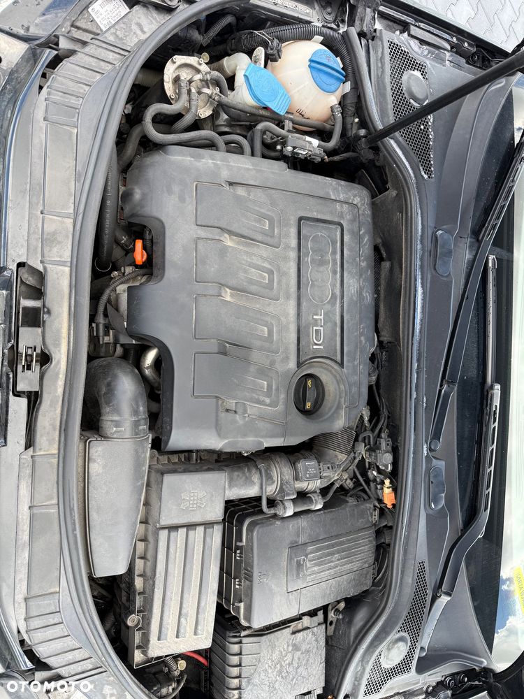 Audi A3 3-drzwiowe - 11