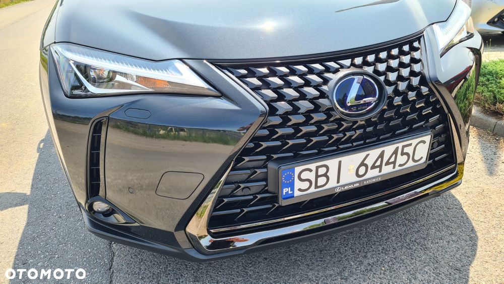 Lexus UX 250h GPF Prestige AWD - 16