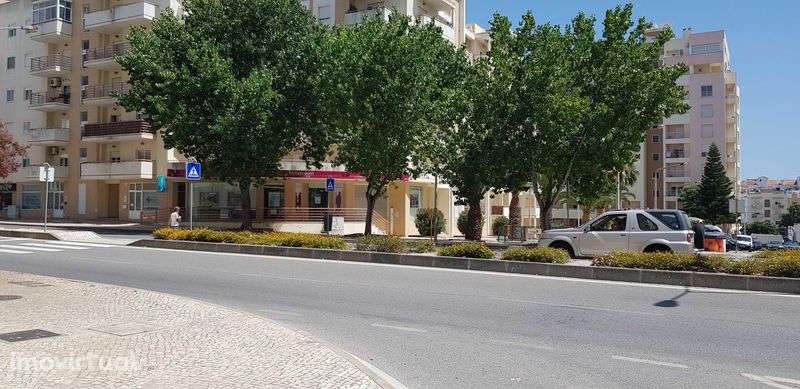 Arrecadação em Armação de Pera - Grande imagem: 3/11