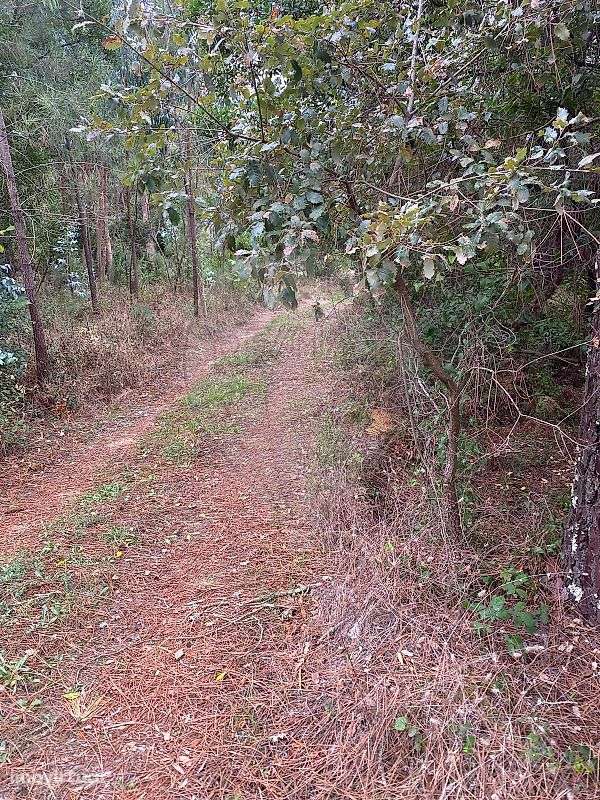 Terreno  para venda - Grande imagem: 3/3