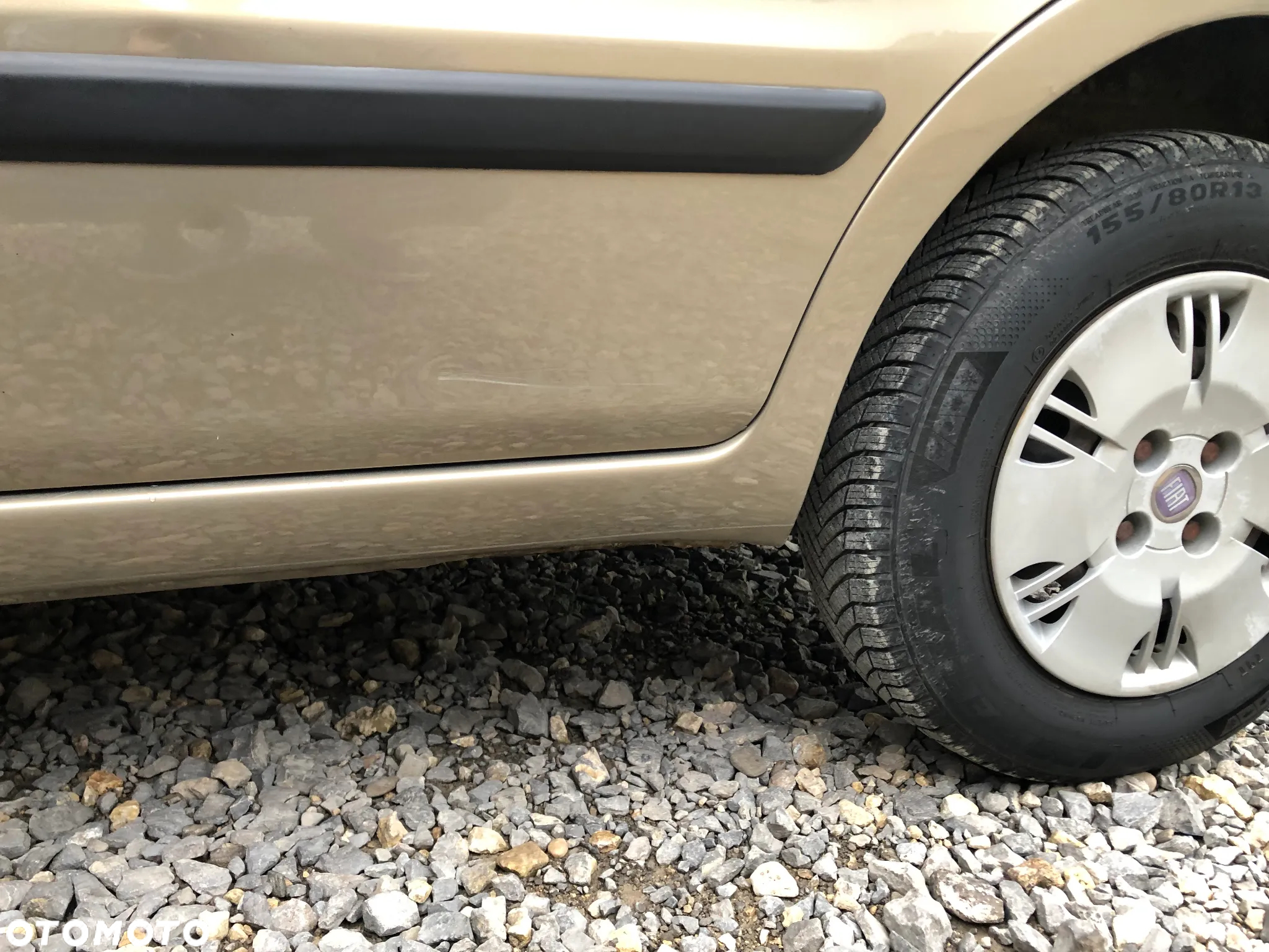 Fiat Panda 1.2 Dynamic Plus - 22