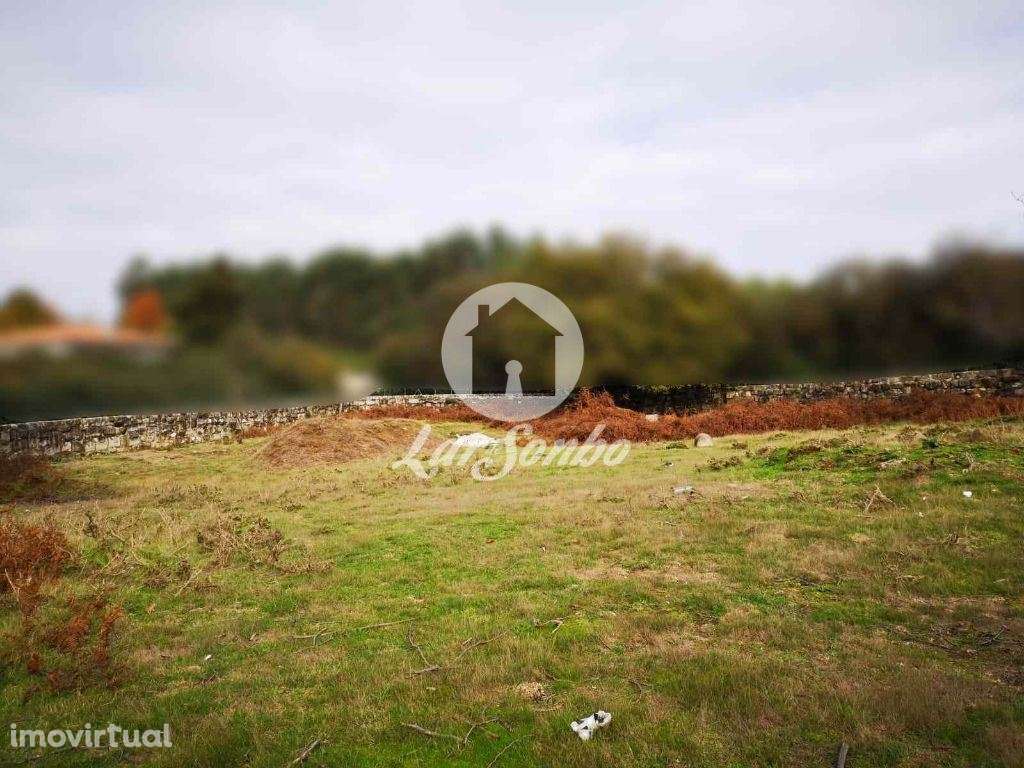 Quintinha Rústica - Esmeriz - Grande imagem: 4/13