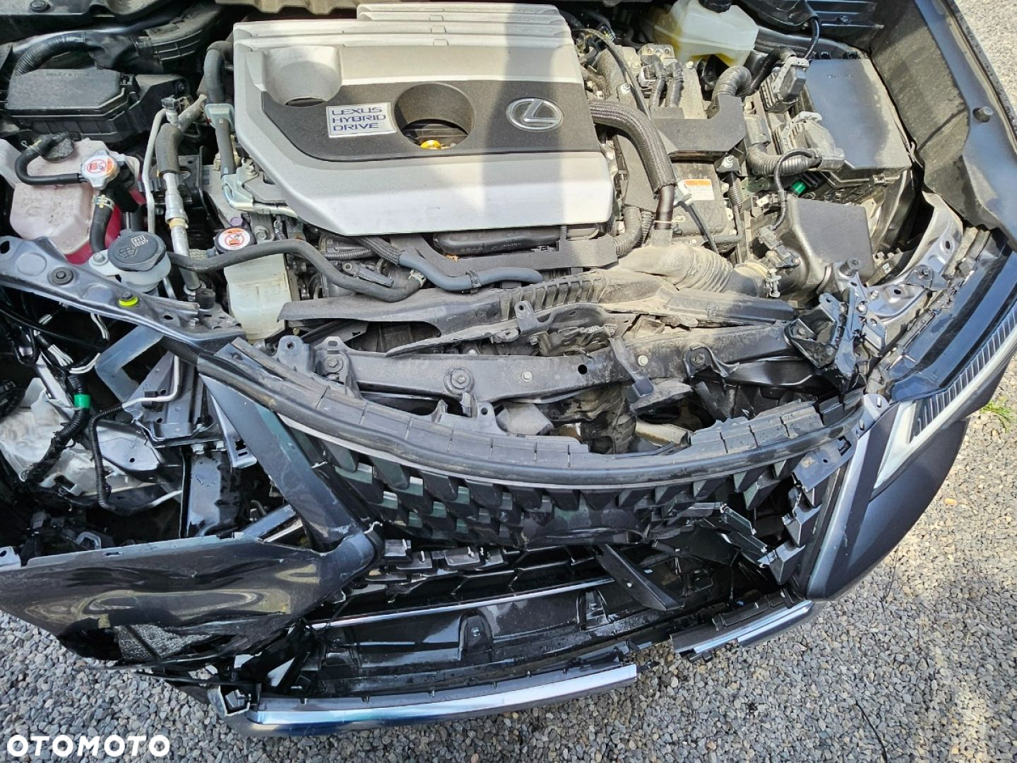 Lexus UX - 25
