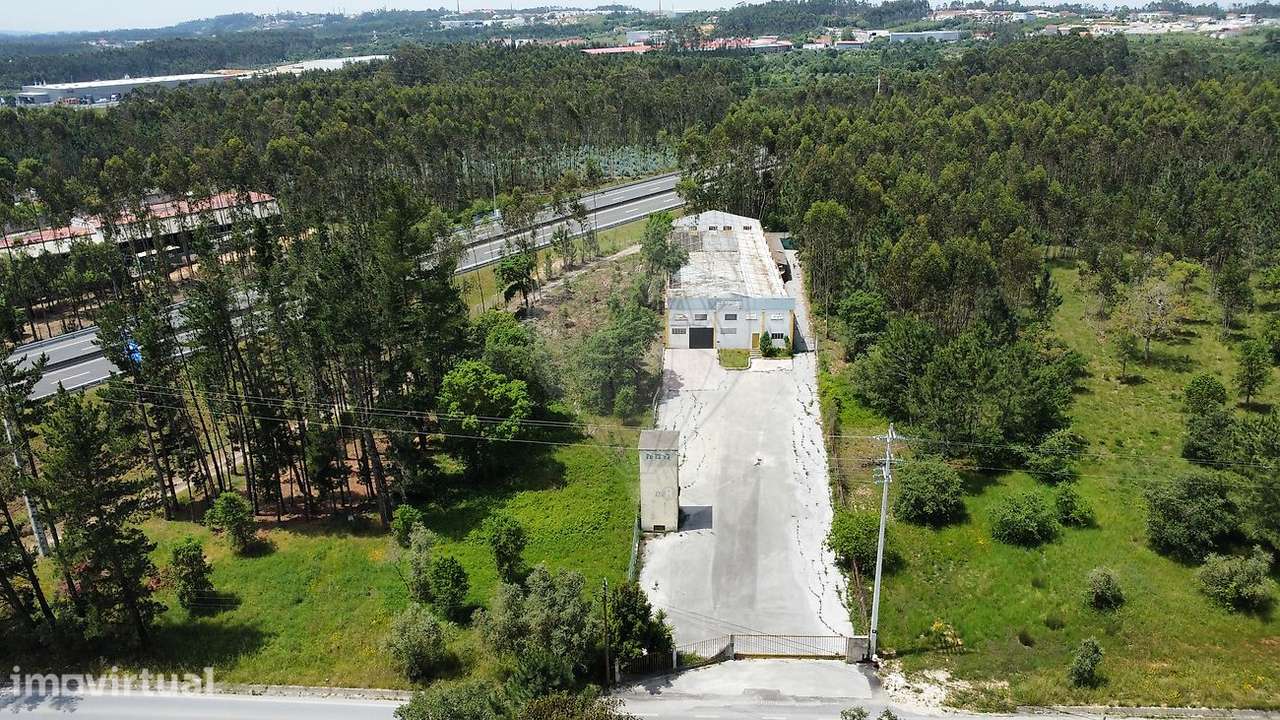 Armazém  para arrendamento - Grande imagem: 3/18