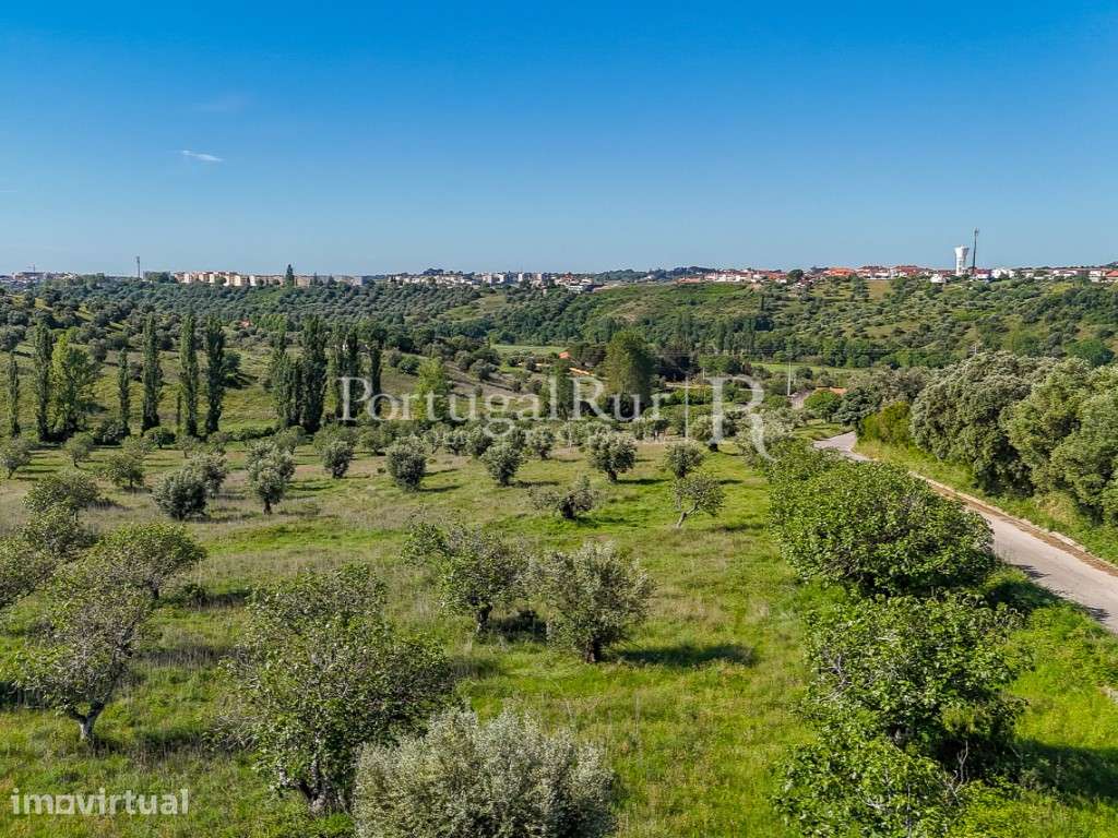 Quinta com 5 hectares e 800 m² de construção, Torres Novas - Grande imagem: 5/14