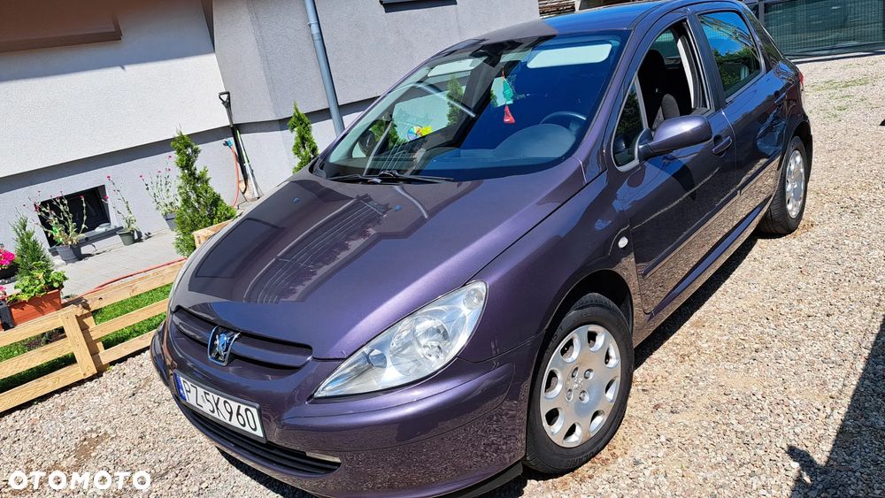 Peugeot 307 HDi 90 Grand Filou - 3
