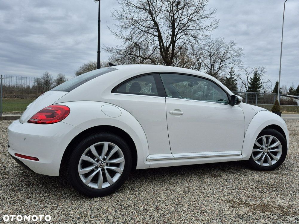 Volkswagen Beetle - 12