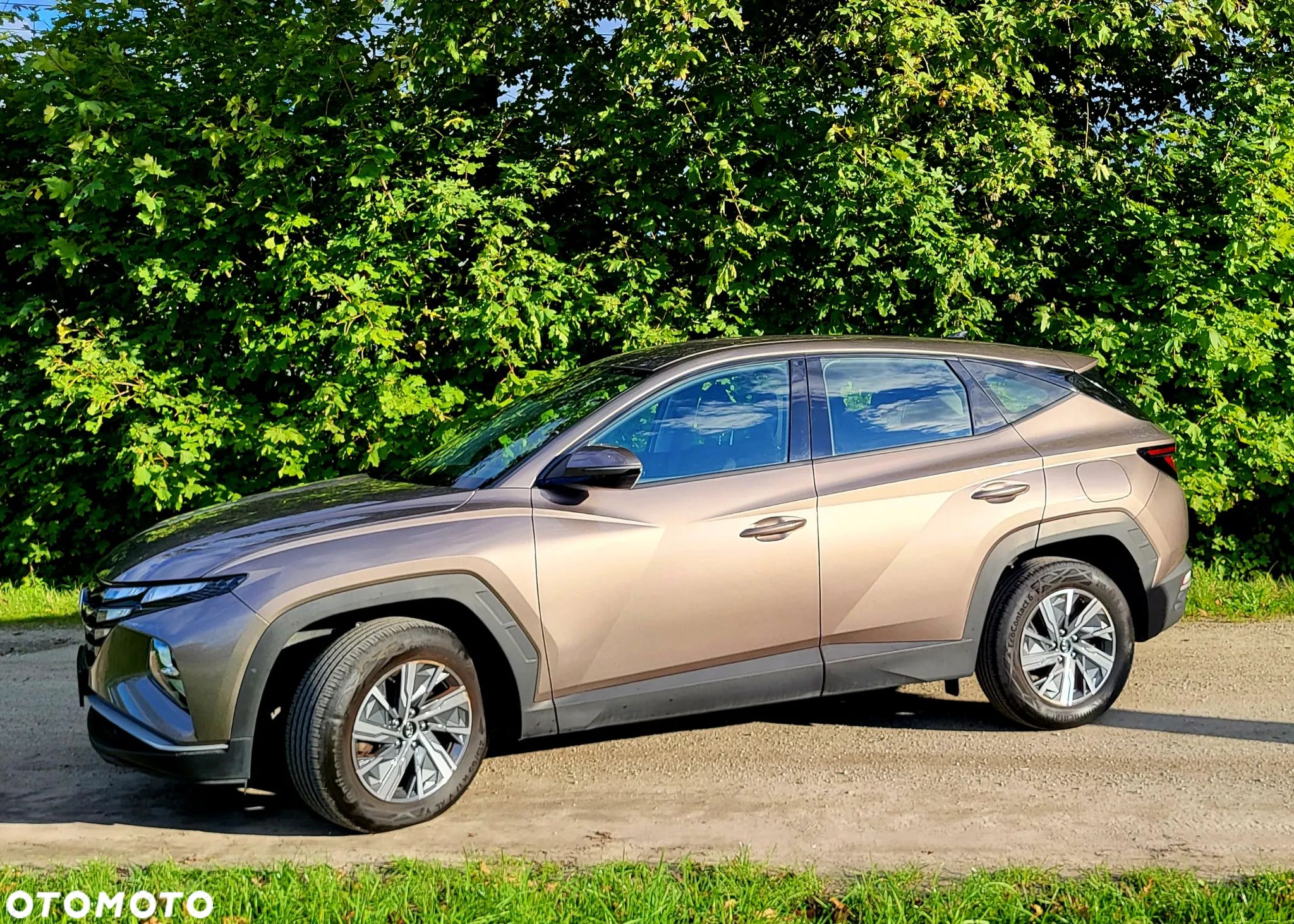 Hyundai Tucson 1.6 T-GDi Modern 2WD - 1