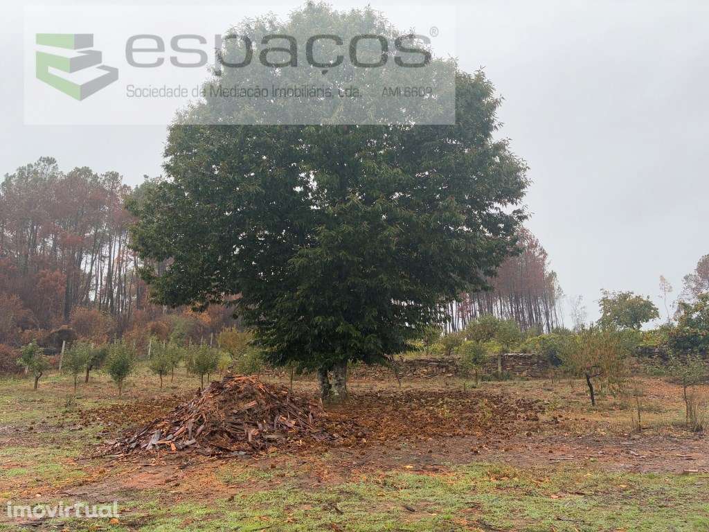 Quinta no Paul - Grande imagem: 2/25