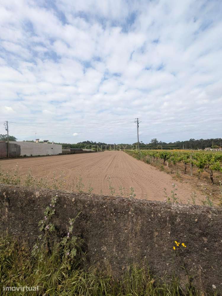 Excelente oportunidade de investimento! TERRENO URBANIZÁVEL - Grande imagem: 2/11