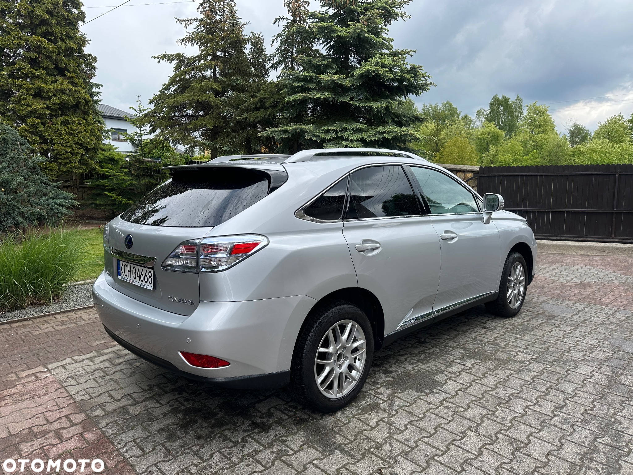 Lexus RX 450h (hybrid) Luxury Line - 10