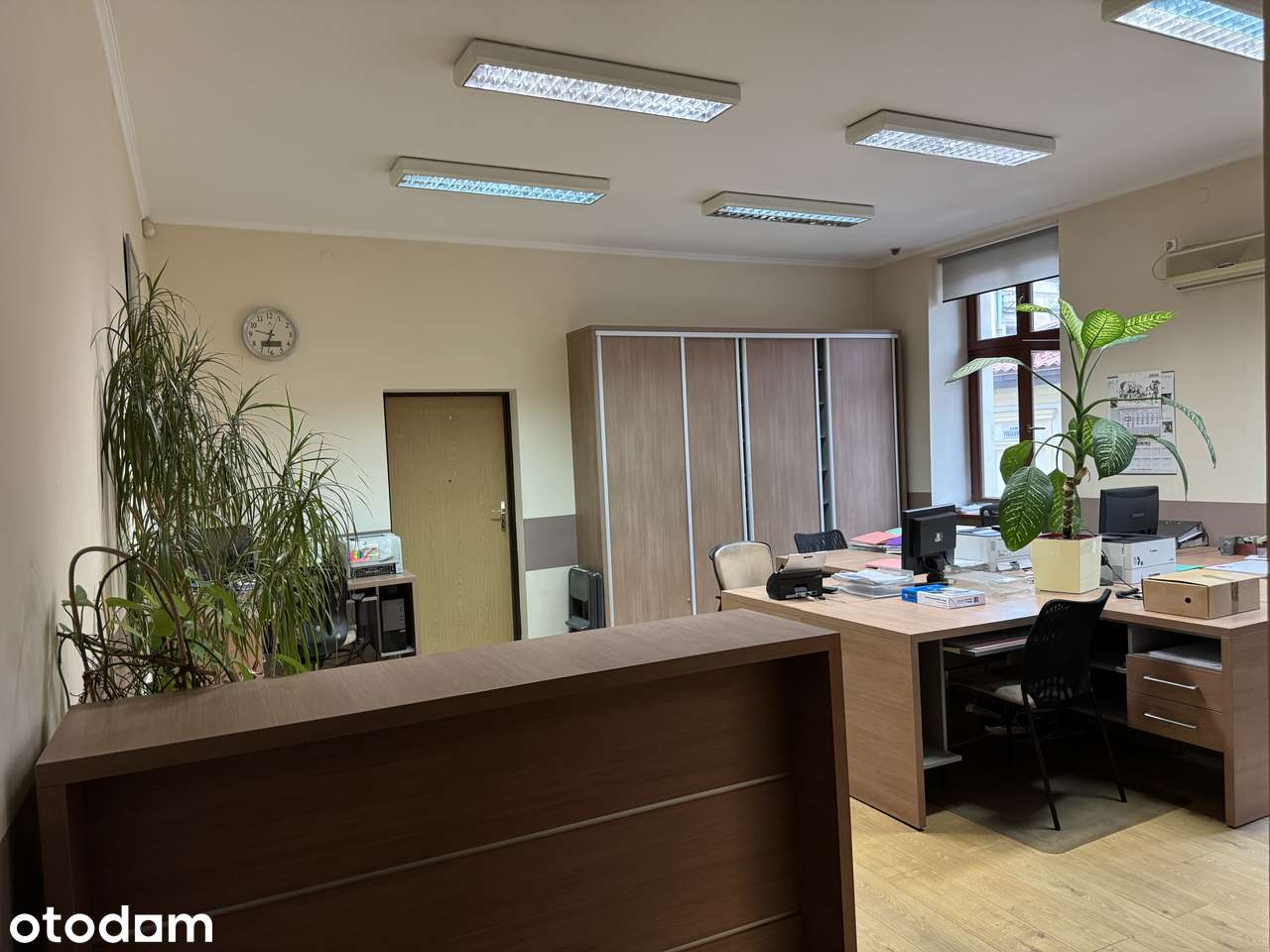 Lokal biurowy w odnowionej kamienicy z klimatyzacją - Pełny obrazek: 2/10