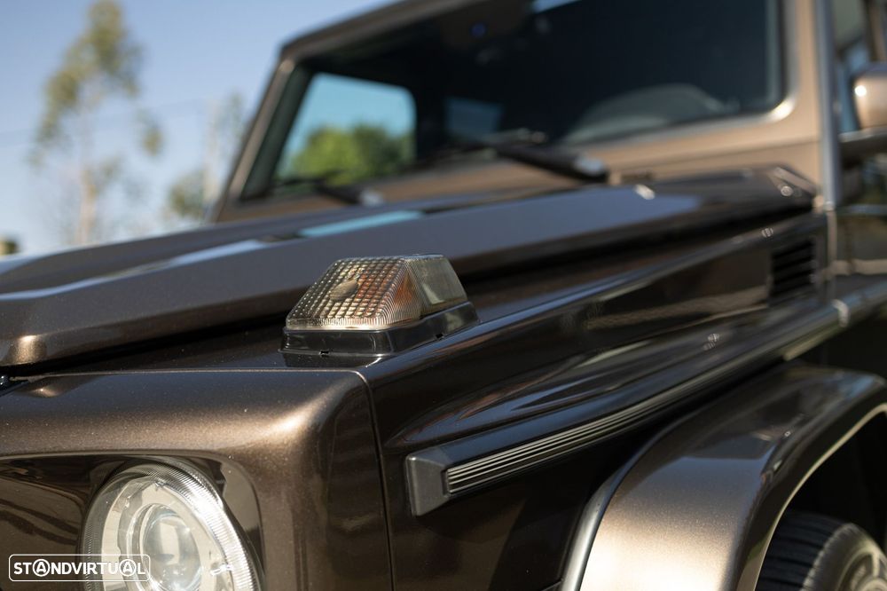 Mercedes-Benz G 350 d - 20