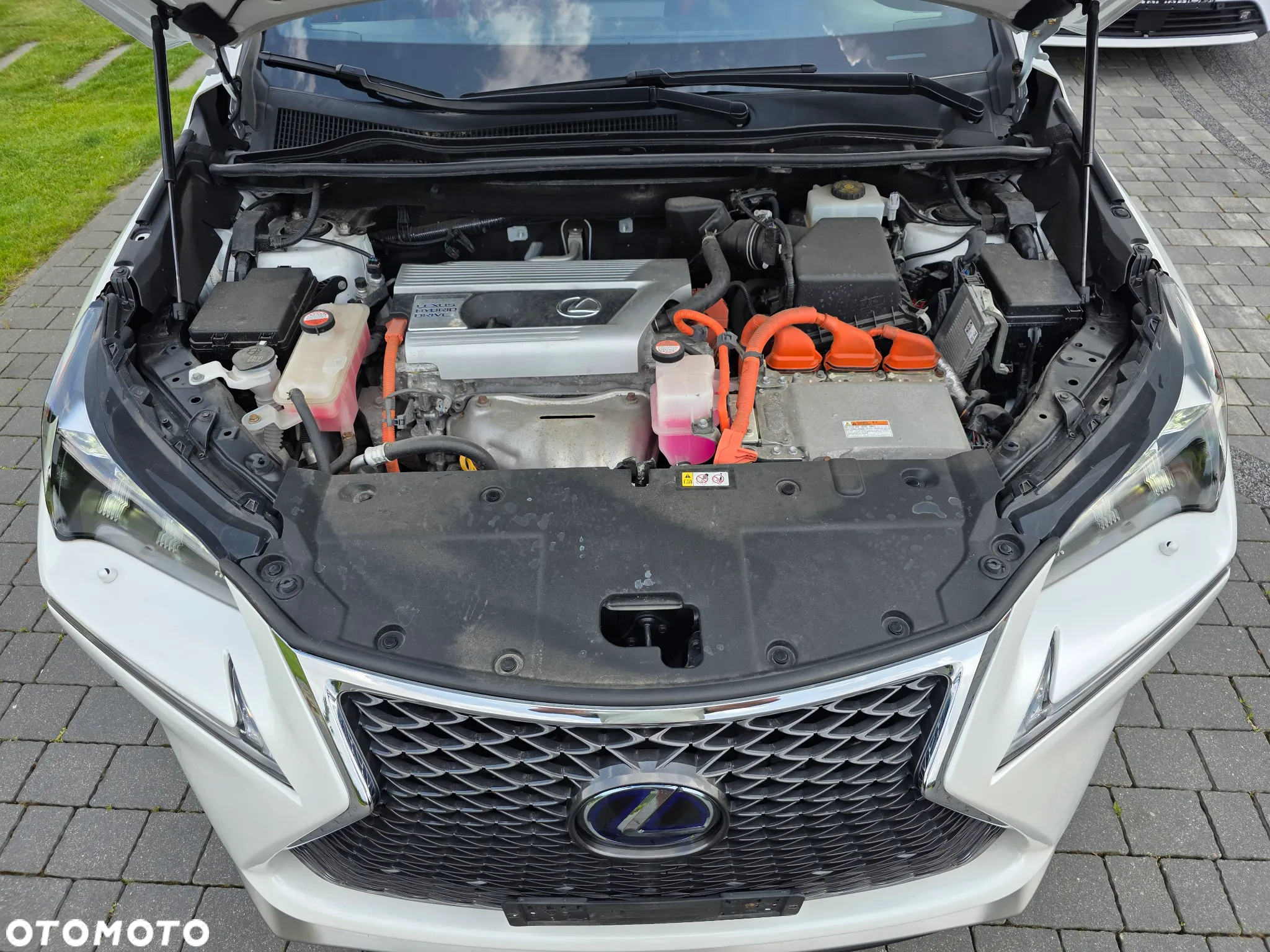 Lexus NX 300h E-FOUR F SPORT - 8