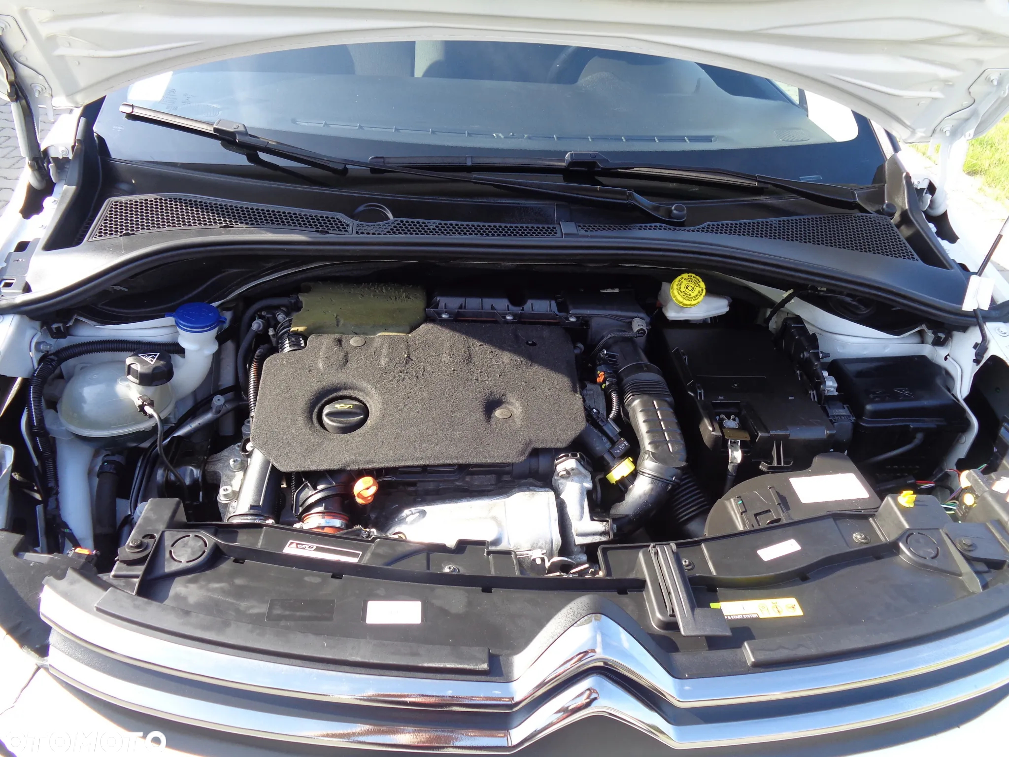 Citroën C3 1.5 BlueHDi Origins S&S - 8