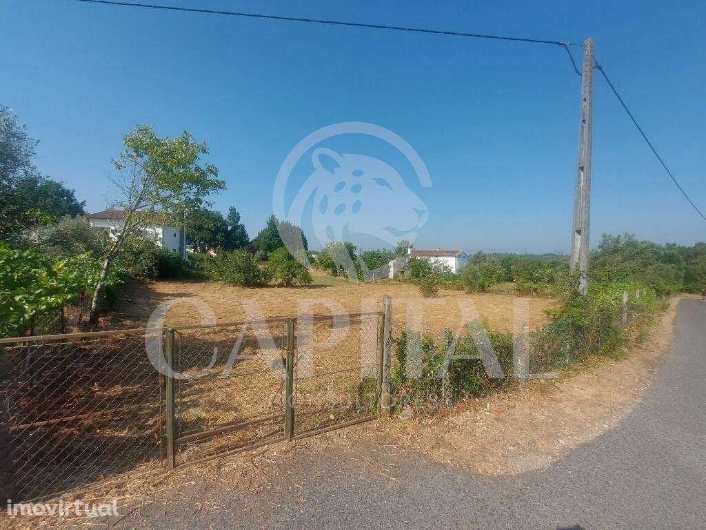 Terreno no aglomerado Urbano p/ venda Côja - Grande imagem: 2/9