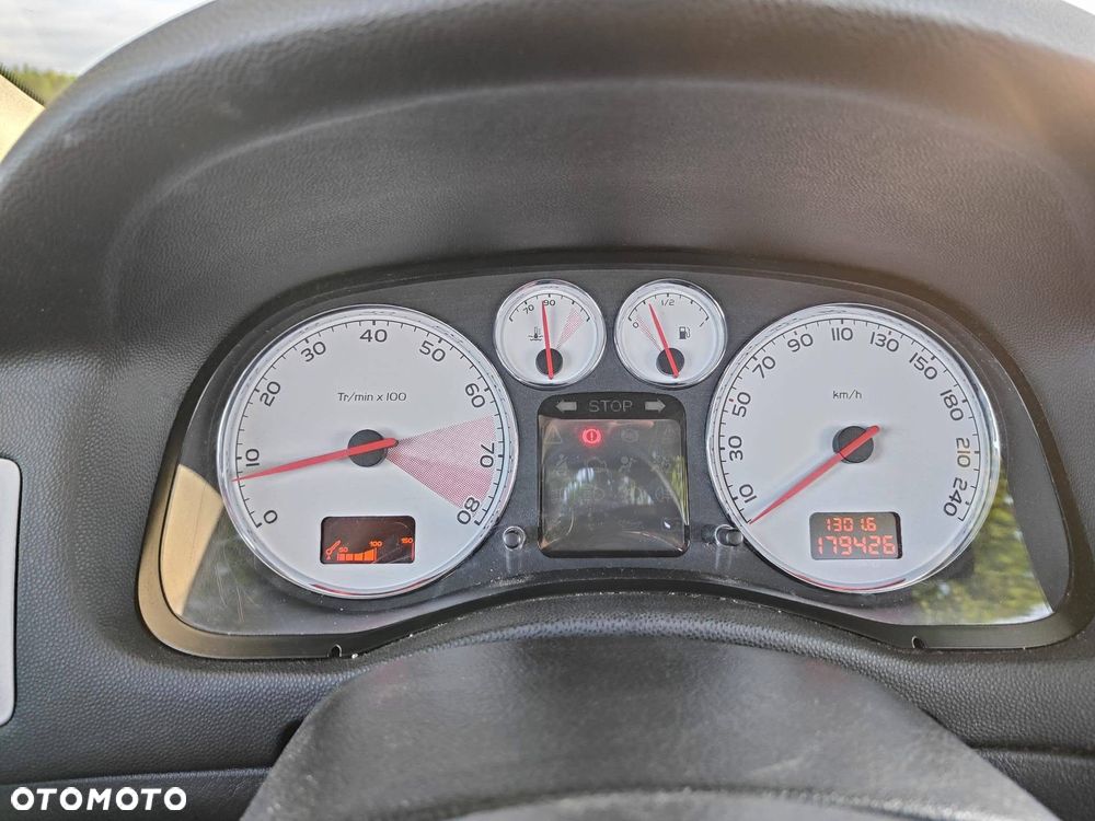 Peugeot 307 CC 2.0 - 9