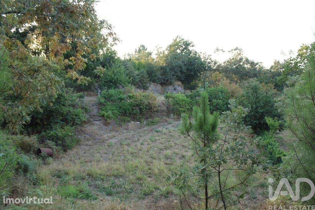 Terreno em Nogueira do Cravo - Grande imagem: 3/11