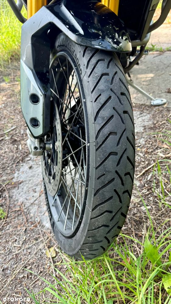 Triumph Tiger - 12
