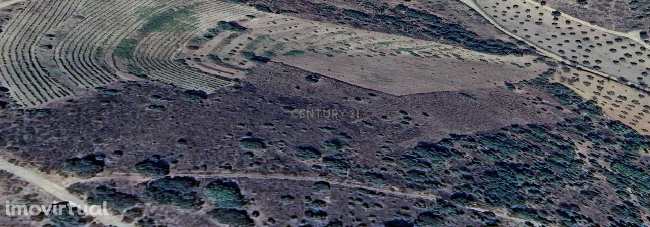 Terreno Rústico em Vila Nova de Foz Côa - Grande imagem: 4/4