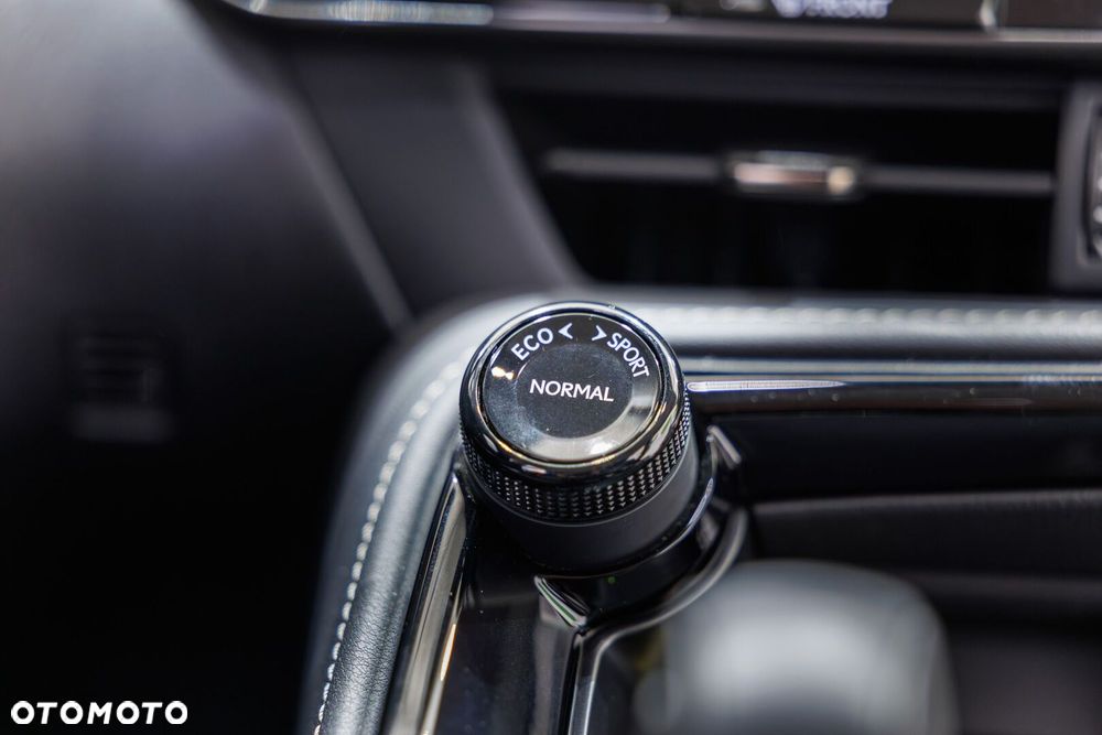 Lexus NX - 32