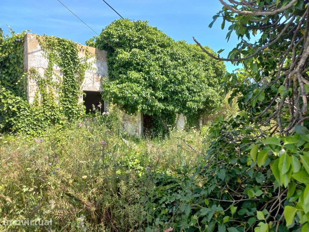Terreno com ruína e terreno rústico, Galvana, Faro, Algarve - Grande imagem: 3/23