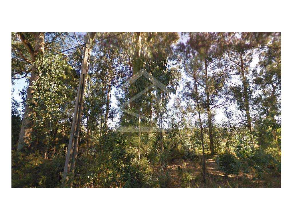 Terreno em Oliveira de Azeméis - Grande imagem: 2/6