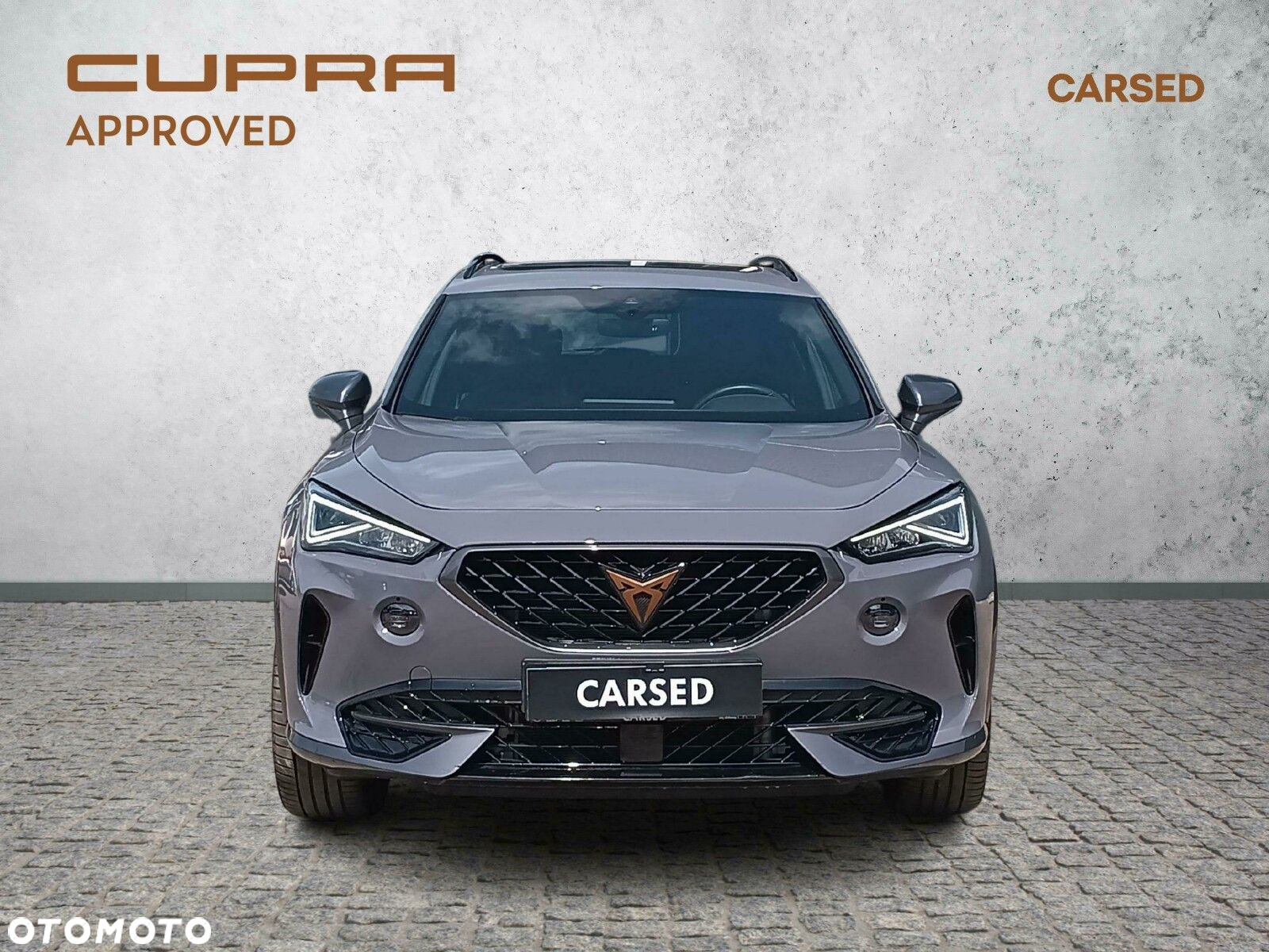 Cupra Formentor 2.0 TSI 4Drive DSG - 8