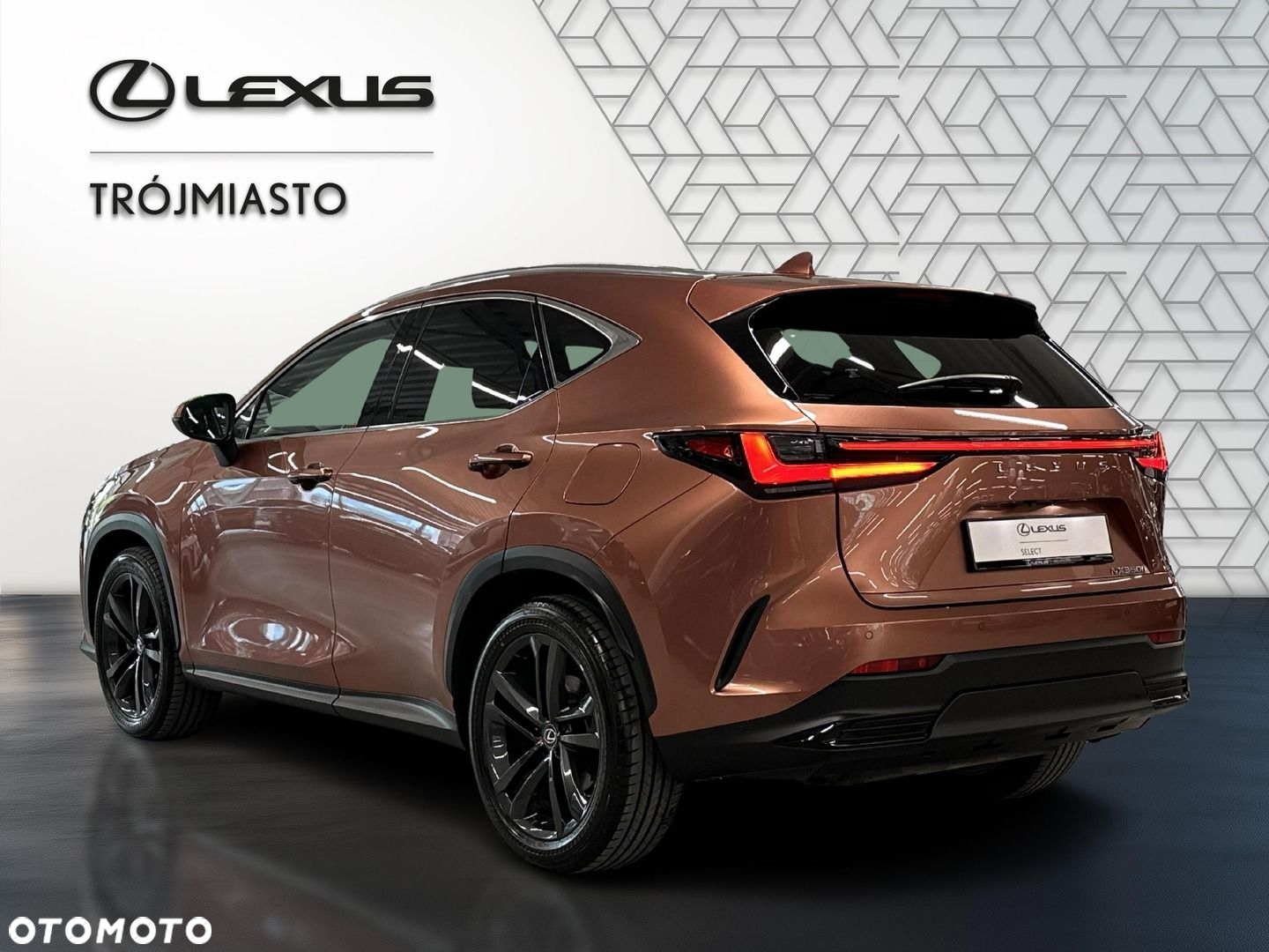 Lexus NX - 3