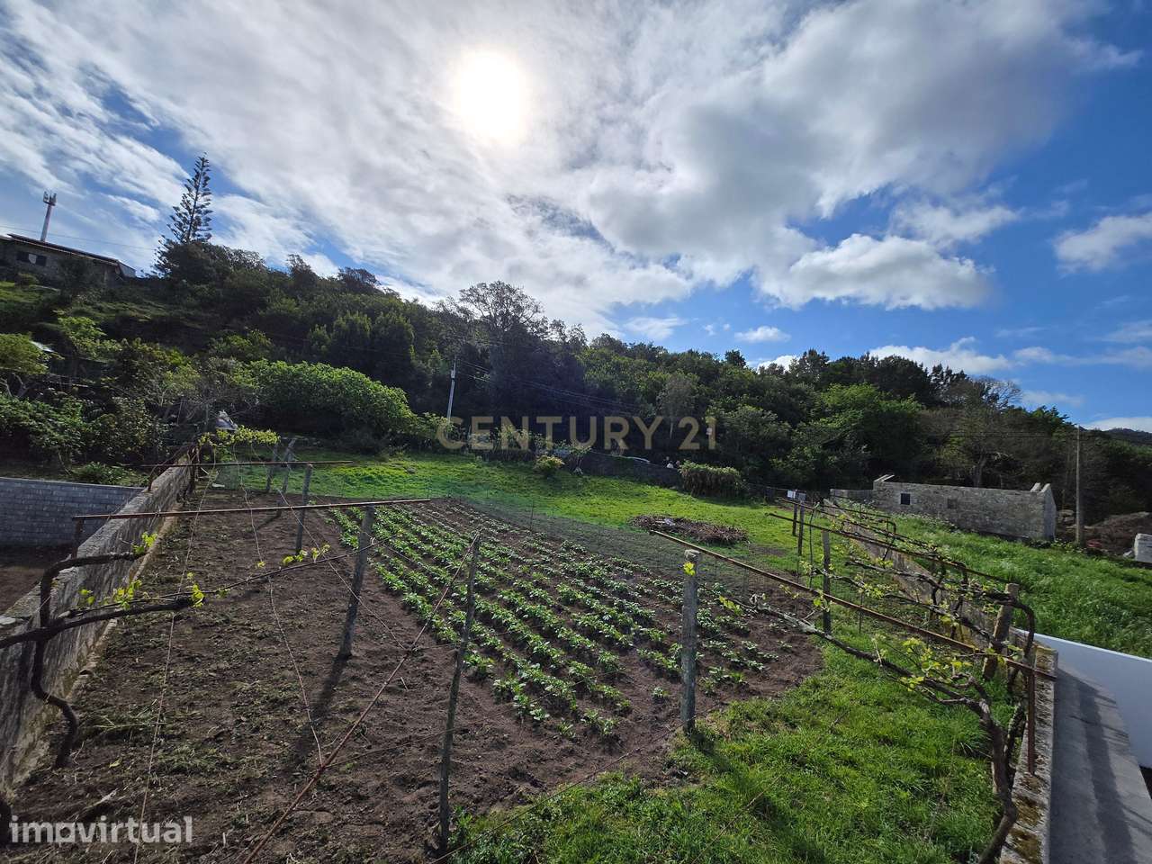 Terreno Urbano em Âncora-219m² de Construção com Vista Mar - Grande imagem: 4/11