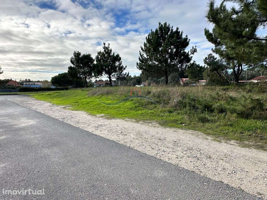 Terreno - Garcia - Grande imagem: 2/19