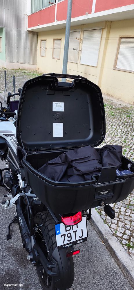 Triumph Tiger Rally Pro - 18