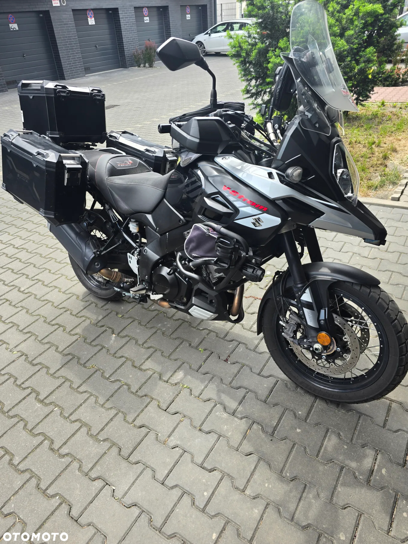 Suzuki DL - 6