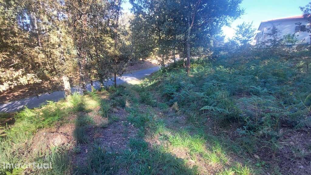 Terreno - Fiscal - Grande imagem: 2/9