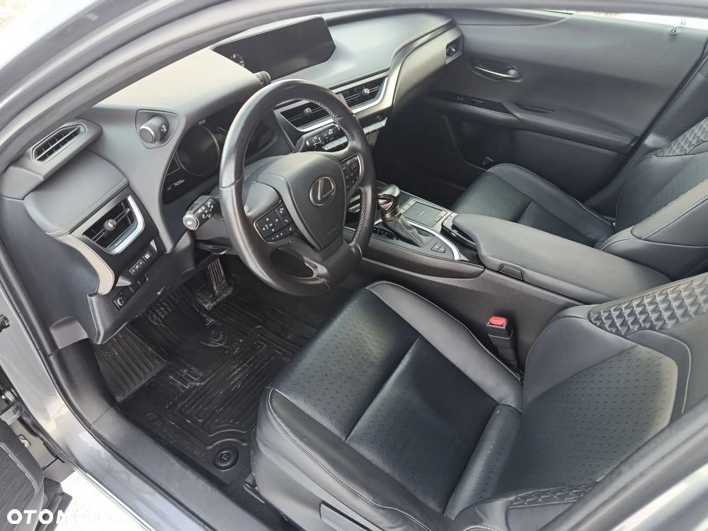 Lexus UX 250h GPF F Sport Edition 2WD - 10