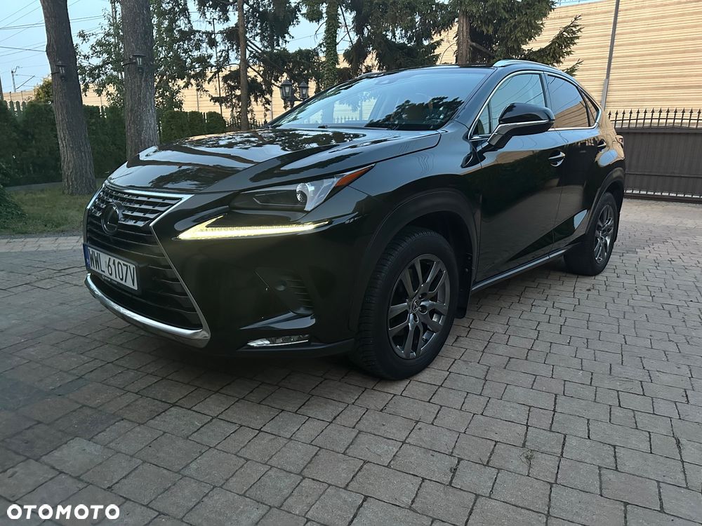 Lexus NX 300 Comfort AWD - 23