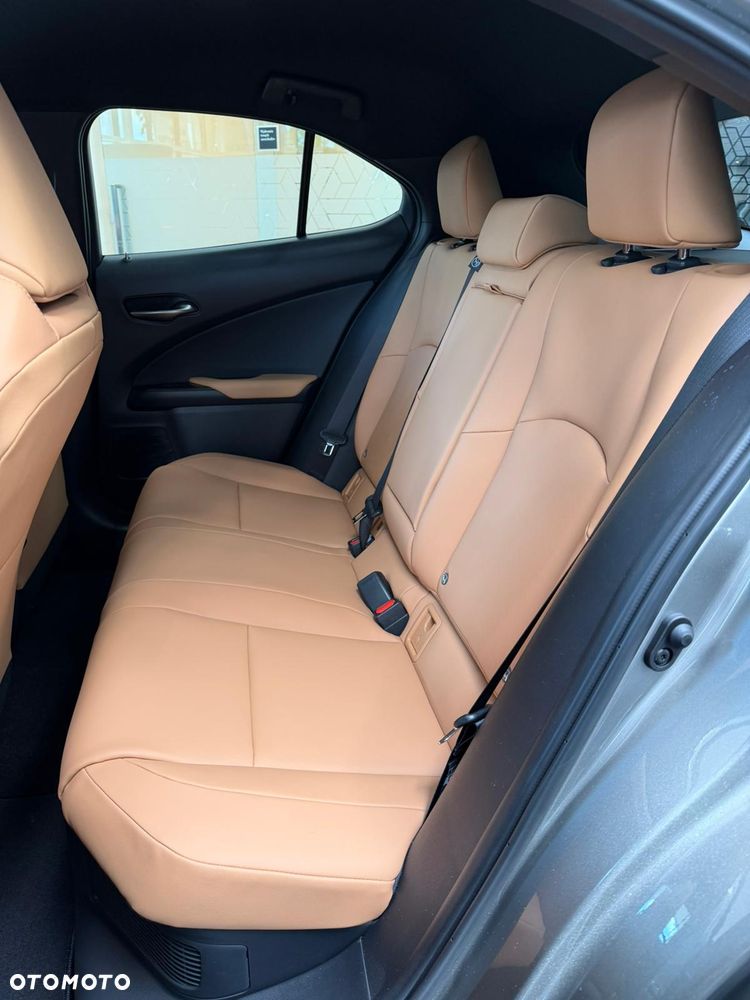 Lexus UX 300h F Sport Design - 16