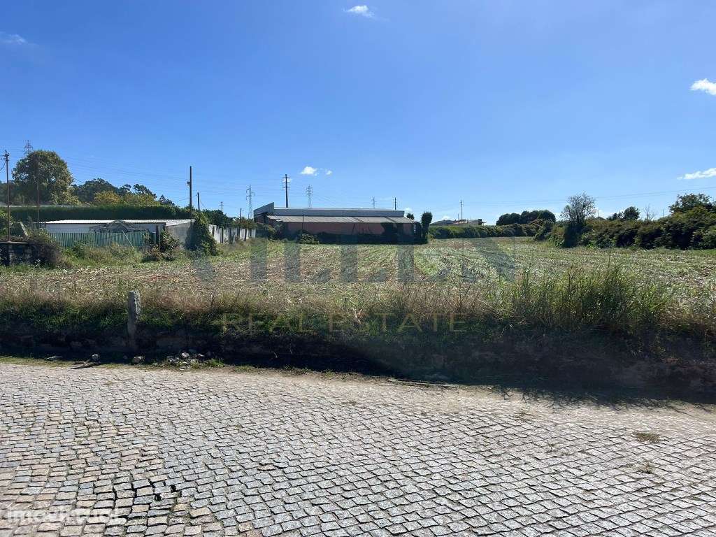Terreno Agrícola - Maia - Grande imagem: 2/7