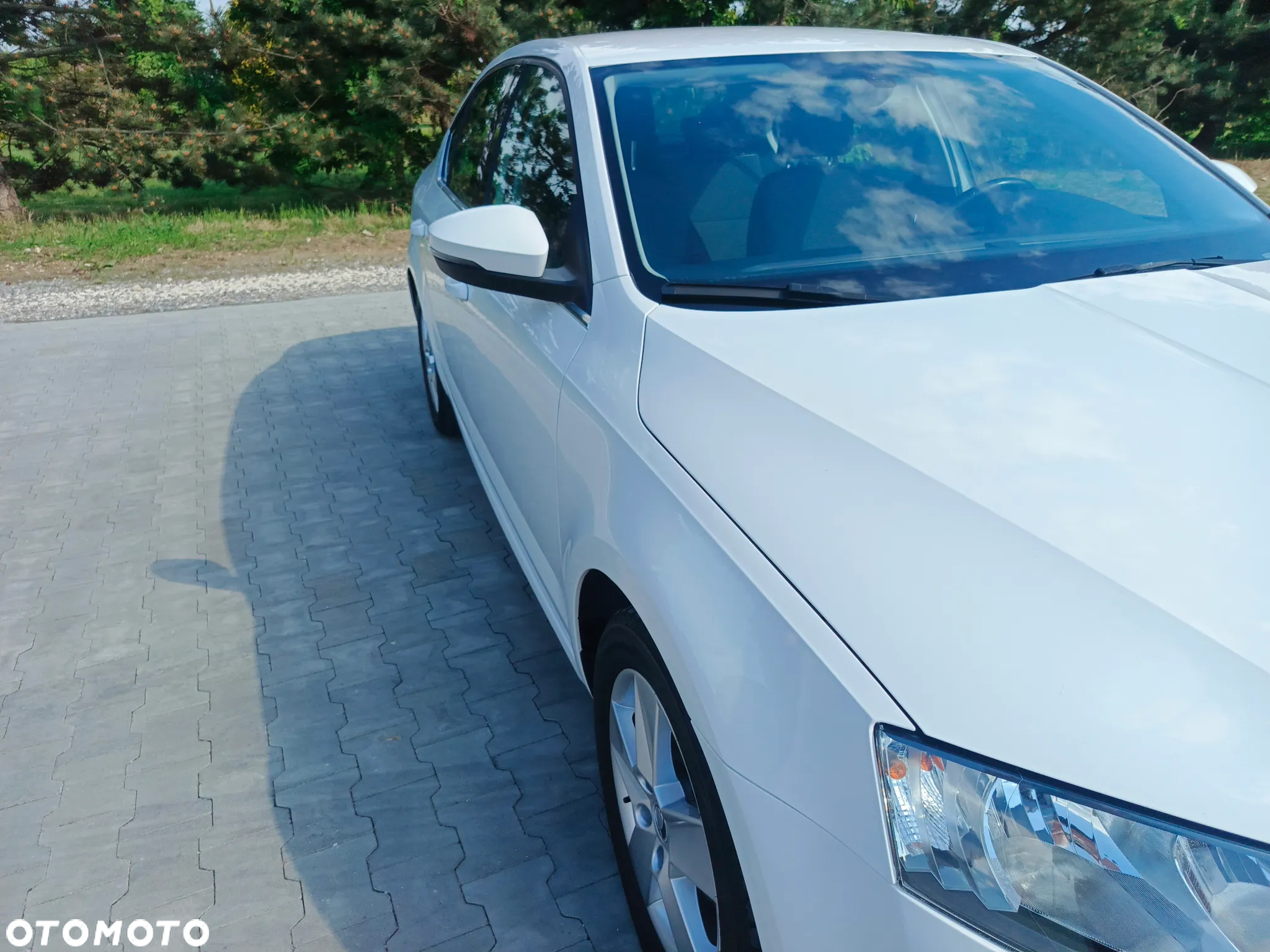 Skoda Octavia 1.6 TDI Greenline - 19
